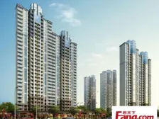 小区中间位置,高层,毛坯 有露台