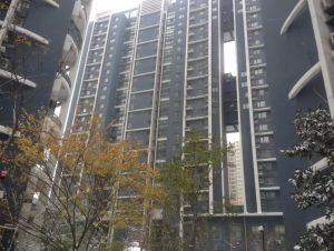 正弘旗2室2厅南