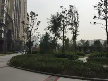 中豪公园尚城 2室2厅 东南