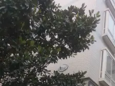 新上大复式,位置好,交通方便业主诚心出售