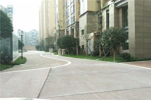 君雁金梧桐3室2厅东南