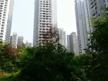 五里店 蓝色经典一房46万