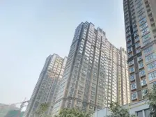 2013年小区 人车分流 环境好 楼层好 采光充足