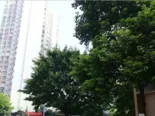 归谷城市美墅,石桥铺商圈位置,单价8000的叠拼别墅