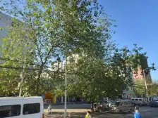 清城美苑,带60平南向露台,南北通透,拎包入住!