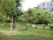 城南步行街旁 电梯大四房 出行方便