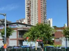 九龙坡楼梯树景房+正规2室2厅+位于3楼+带外阳台