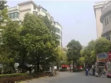 绿城百合公寓秋月苑 4室2厅 南 北