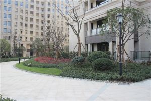 北师大,品质物业,位置好。看房方便