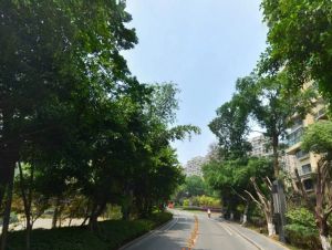 保利公园198丁香郡4室1厅南
