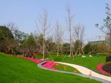 新上房源,洋房带电梯,南北通透格局