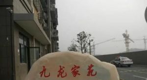 全新毛胚,中间楼层,采光无任何遮挡