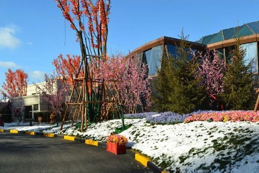 城市新港湾2室1厅1卫南北朝向1500.00元/月出租