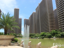 东方山海湾 万达广场旁 33平1居 南北向精装修 着急出售