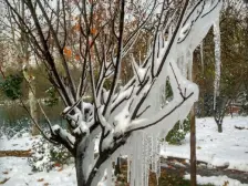 户型合理 格局好 野宽阔采光充足税费满五交通便利