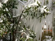 小高层两房,户型方正 采光好 上泰安街