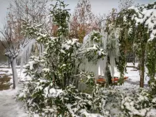 电梯三房,采光好,新小区,配套好。