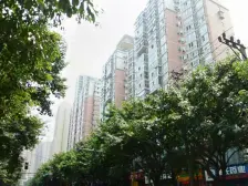 石坪桥 港城静园四房158万