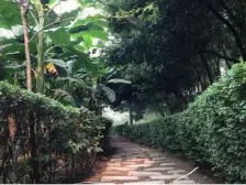 精装四房,双轻轨,采光好,户型方正