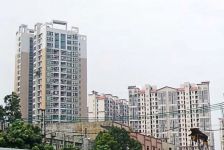 户型方正,朝小区,采光通风好.位置安静