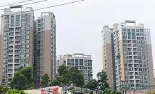 中高层两房;业主诚意卖;户型方正。。。