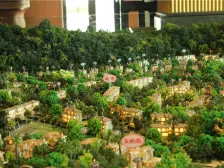 丽日天鹅湖双拼别墅 第二排望湖,花园方正,入住率高