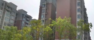 麓山印象4室2厅南北