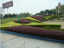 蓝湖郡精装联排别墅优质配套价格可谈