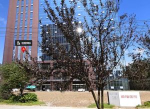 恒隆国际1室1厅南