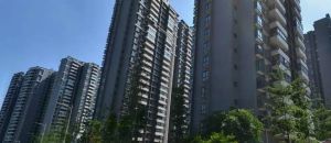 交大万嘉樟菊园3室1厅南