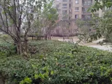 无抵押 电梯房 刚需上车 新上房源