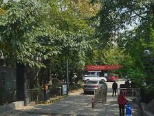 今日花园 3室2厅 东南 南