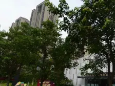 隆鑫西城汇 1室0厅 东南