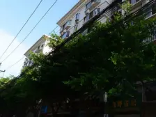 石坪桥 桃源佳景三房