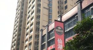 仙湖公馆3室1厅东南