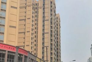 仙湖公馆2室1厅东南