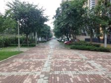 彩叠园1B期6室1厅东南
