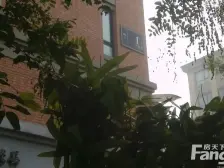 绿城百合观河景复式5房带电梯 满五年 市政供暖 诚心卖