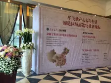 江北区 金科品质物业 跃层精装洋楼 一梯两户