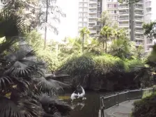 杨公桥 华宇林泉雅舍一房28万