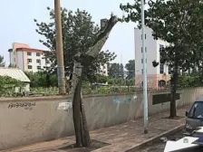 【电厂东路】| 烟台市芝罘区电厂东路156号11号楼1单元601号不动产