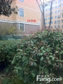 睿智花园3室2厅东南
