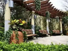 康桥溪月 121平精装大三室 2T3户 东边户 采光不要太好