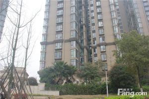 视野开阔大3房,保养95成新,房东诚心卖!