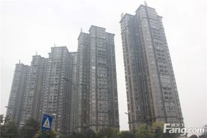 满五唯一精装大三河景房长郡中间楼层