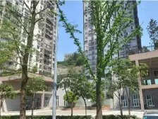 宏宁天成 1室2厅 东南