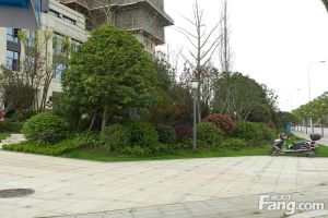 中铁西江悦3室2厅南北