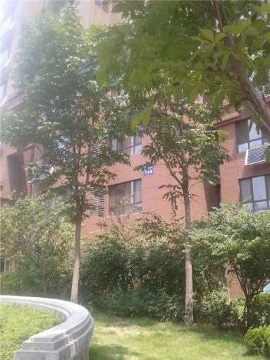 泉景天沅鑫园2室1厅1卫南北朝向2200.00元/月出租