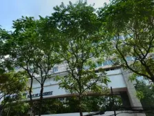 房子采光好,房子方正,房子视野好