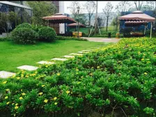 六号线轻轨站300米 大露台三房 靠滨江公园